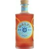 Gin Con Arancia 41% 0,7L -Spirituosen-Discounter malfy gin con arancia 41 07l